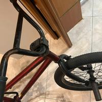 BMX Professionale