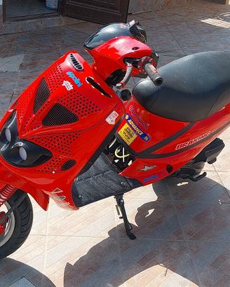 ammortizzatore zip sp 