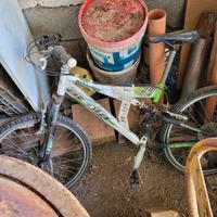 Bicicletta mtb