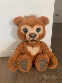Cubby orso