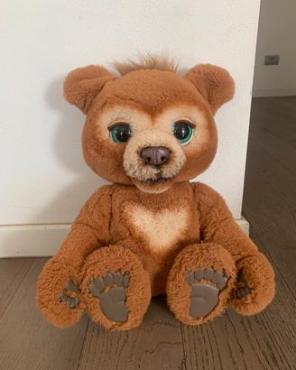Cubby orso