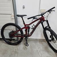 TREK REMEDY 7