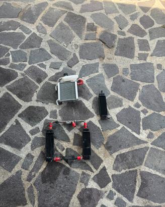 radiatore aerox/f12