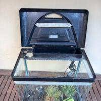 Acquario (Billy 45 )