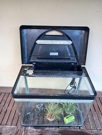 Acquario (Billy 45 )