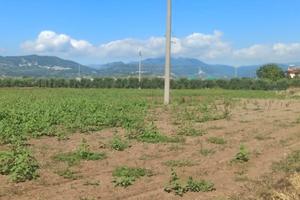 Terreno commerciale D2