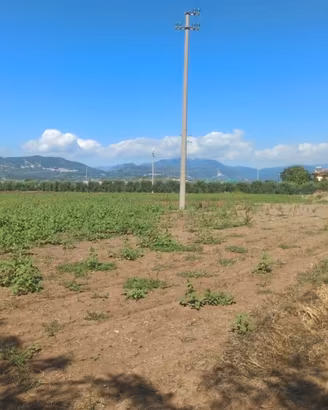 Terreno commerciale D2