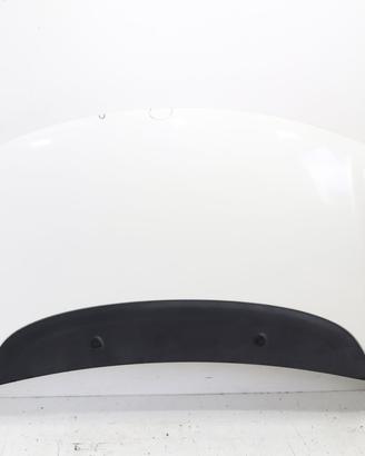 COFANO ANTERIORE FIAT 500 L Serie (351_352) 168978