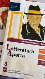 Libro letteratura aperta 3