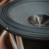 SUBWOOFER Audison THESIS TH10 {TRATTABILE}