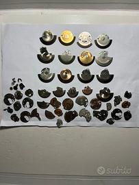 Scatola Rotori - Massa Oscillante