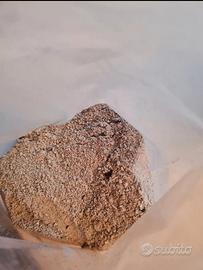 cenere vergine setacciata in sacchetti da 1 kg