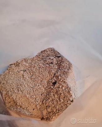 cenere vergine setacciata in sacchetti da 1 kg