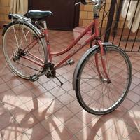 Bicicletta Bianchi 21 rapporti