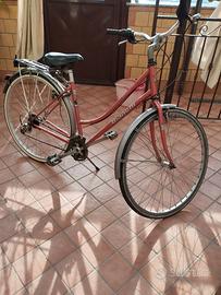 Bicicletta Bianchi 21 rapporti