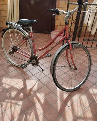 Bicicletta Bianchi 21 rapporti