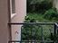 Immagine 7