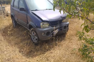 terios incidentata