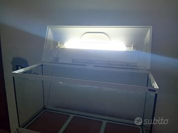 Acquario per tartarughe d’acqua