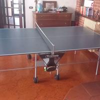 Tavolo da ping pong