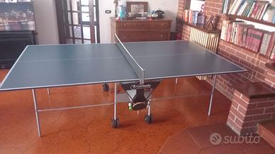 Tavolo da ping pong