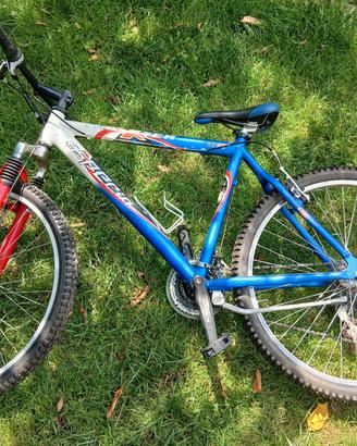 Mtb 26 pollici esperia in alluminio con disco