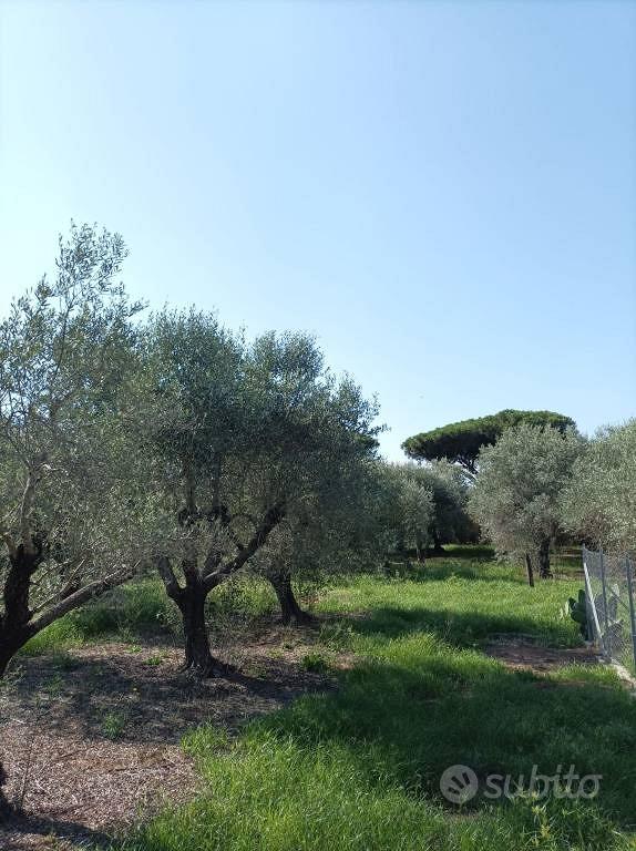 Terreno di 1250 m² a Terracina - Vista 3