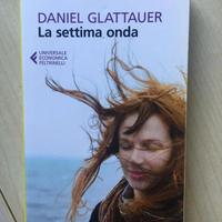 La settima onda, Daniel Glattauer