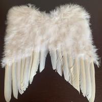 Costume da Angelo per Carnevale e  feste