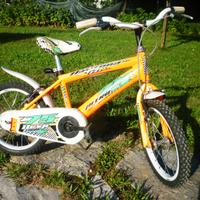 Bici bambino
