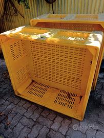 bins olive