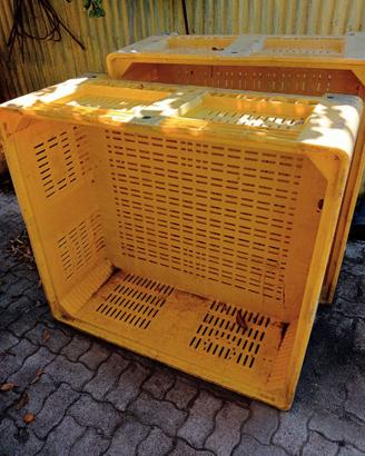bins olive