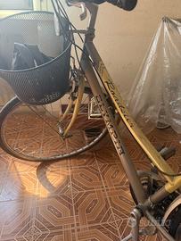 Bicicletta Olympia