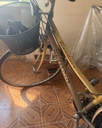 Bicicletta Olympia