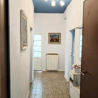 Stanze in appartamento condiviso