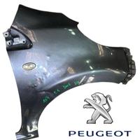 PARAFANGO ANTERIORE DESTRO PEUGEOT 107 1Â° Serie (