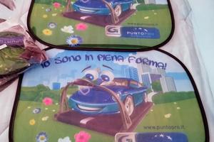 Tendine parasole per auto 