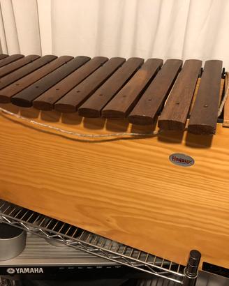 Xilofono Basso Orff della Honsuy