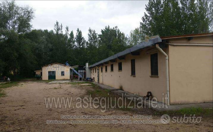 Subito - Aste Giudiziarie Inlinea - Azienda Agricola Collazzone ...
