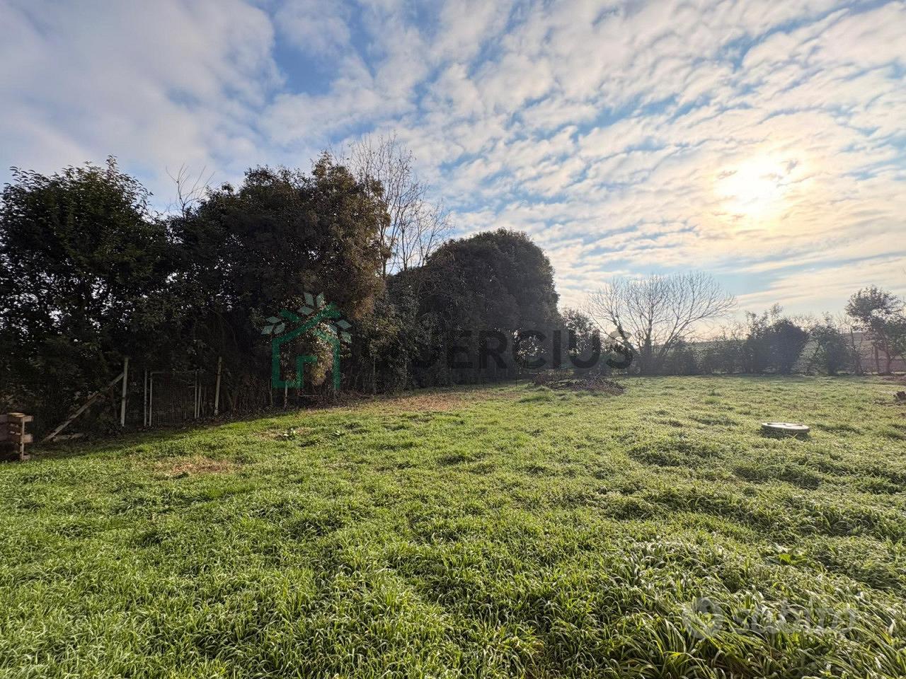 Apartment in Belfiore, Verona - Vista 3