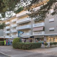 Michelangelo Sabbiadoro bilo 5 pax 250 m dal mare