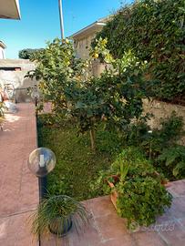 Appartamento in villa