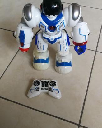Robot