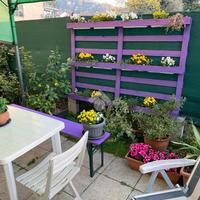 CASA SEMINDIPENDENTE A MONTEVECCHIA