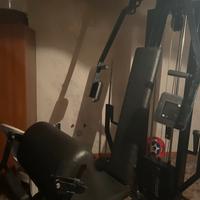 Palestra home gym