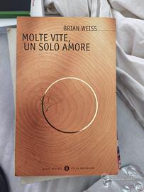 Molte vite, un solo amore