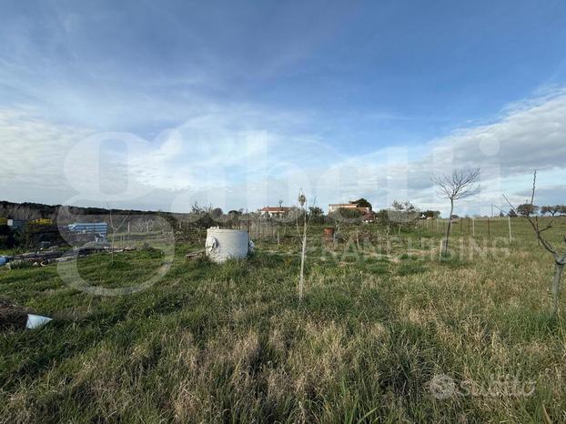 Terreno Agricolo Nettuno [Cod. RAGUSA 3290VRG] (Pi