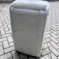 Condizionatore pinguino