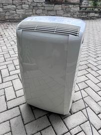 Condizionatore pinguino