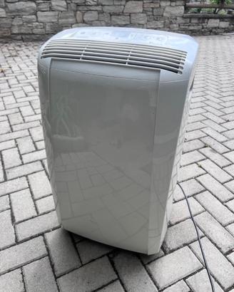 Condizionatore pinguino